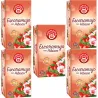 5 cajas de  Escaramujo con Hibisco Pompadour 20 infusiones 8412900401146