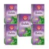 5 cajas de Boldo Pompadour 20 infusiones 8412900401115