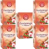 5 cajas de  Escaramujo con Hibisco Pompadour 20 infusiones 8412900401146