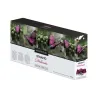 Stracto Delicato 8 cajas | Montecelio