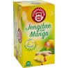 Jengibre con Mango , 20 bolsitas Pompadour