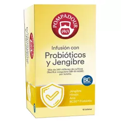 Infunsión con Probióticos y Jengibre de Pompadour 15 infusiones