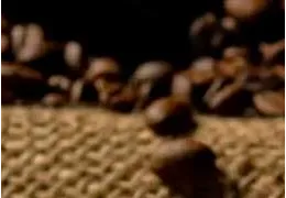 Tipos de café en grano: variedades y características principales